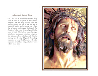 Perseverance or Contrition