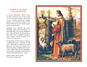 A Prayer for the Dying and a Special Soul