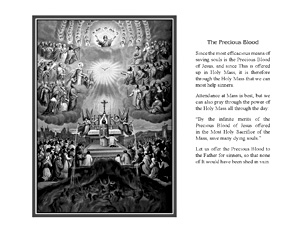 The Precious Blood
